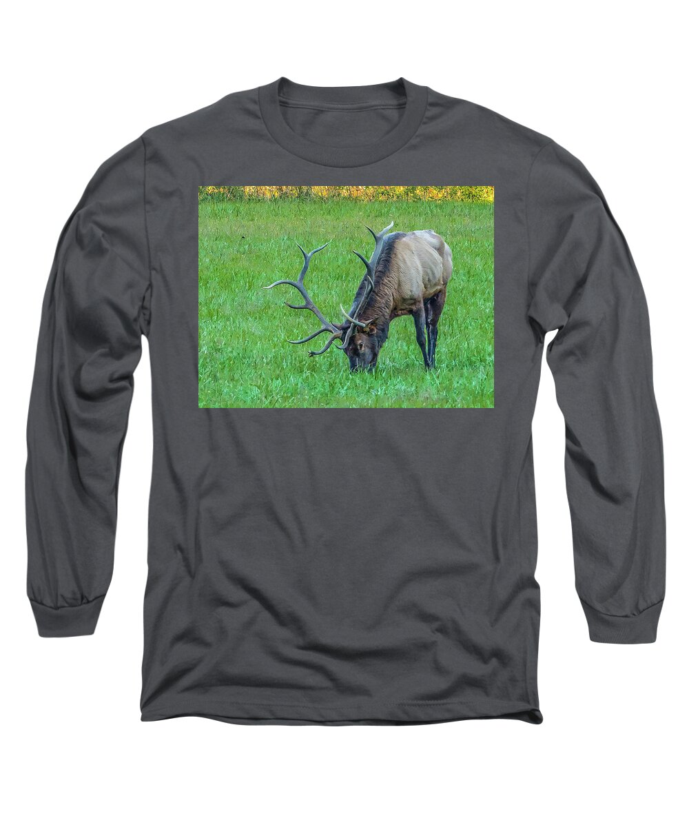 Blueridge Long Sleeve T-Shirt featuring the photograph Oh Those Horns by Peggy Blackwell