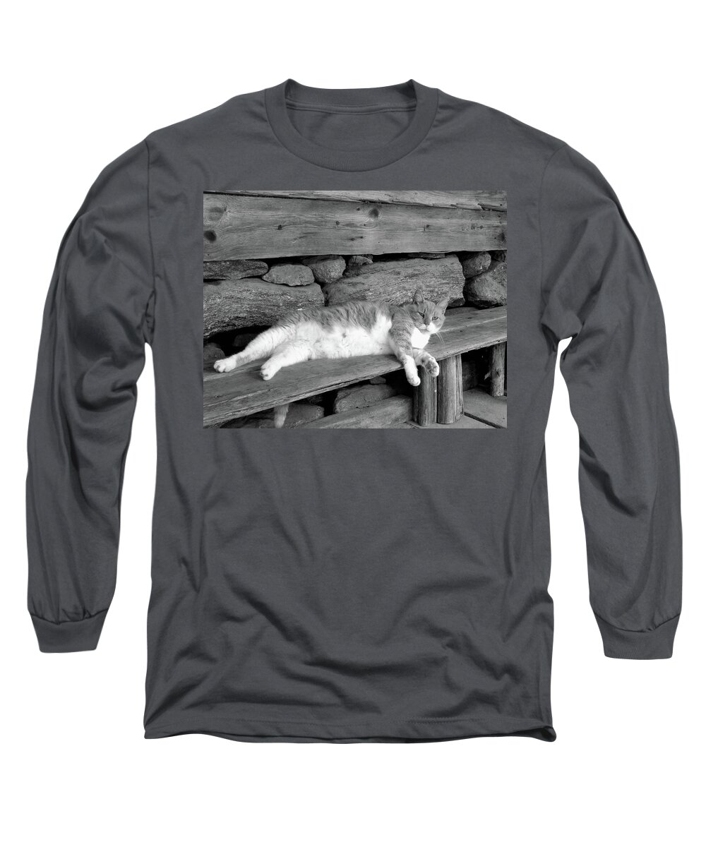 Cat Long Sleeve T-Shirt featuring the photograph Old Mill Cat by Sandi OReilly