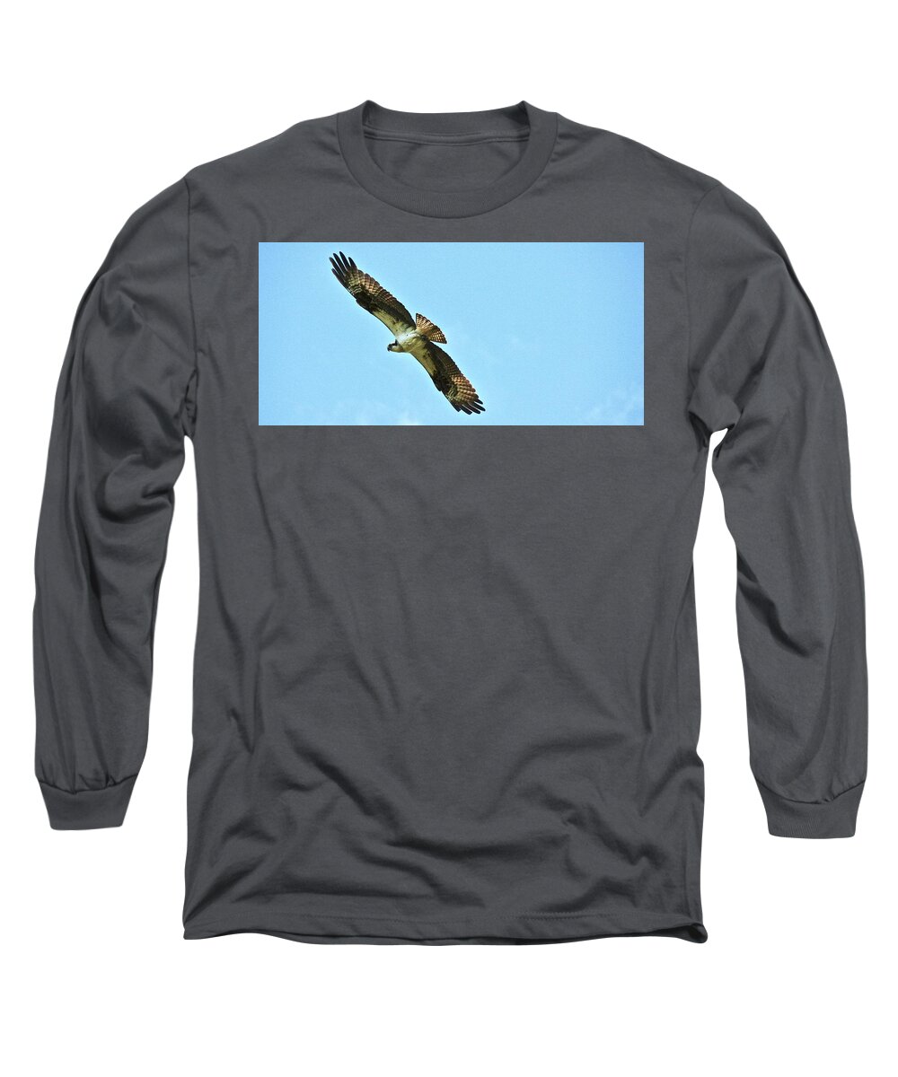 Osprey Long Sleeve T-Shirt featuring the photograph One last look by Shawn M Greener