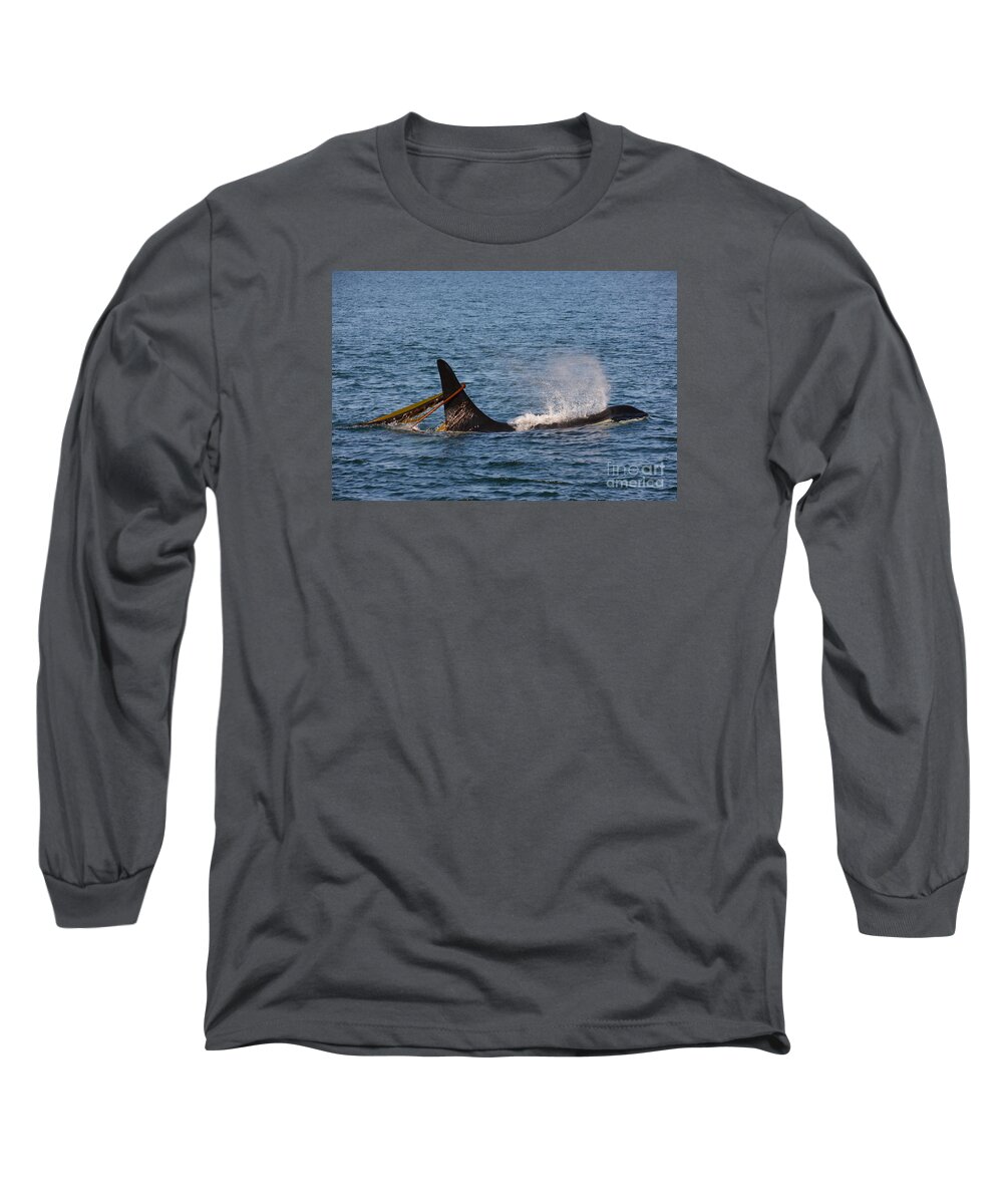 Orca Long Sleeve T-Shirt featuring the photograph Onyx L87 by Gayle Swigart