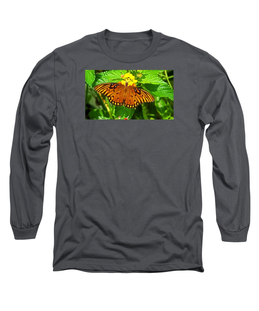 Butterfly Long Sleeve T-Shirt featuring the photograph Open Wings by Judy Wanamaker