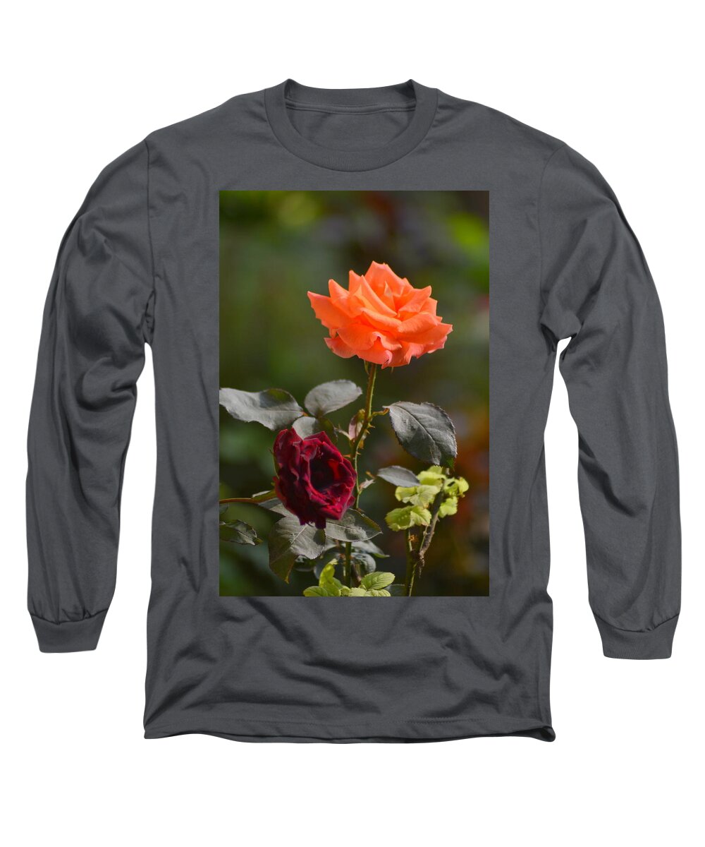 Orange & Black Rose Long Sleeve T-Shirt featuring the photograph Orange and black rose by Salman Ravish