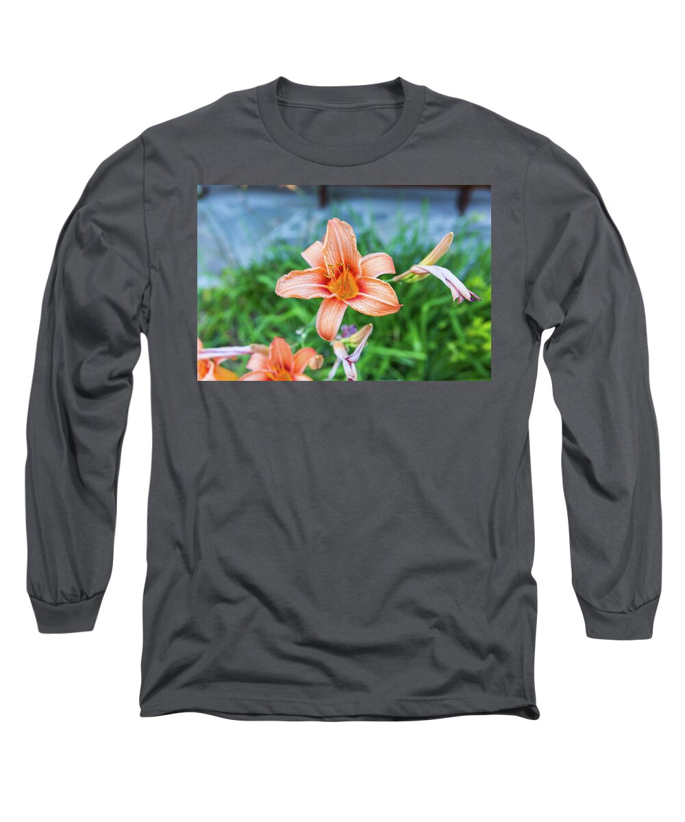 Flower Long Sleeve T-Shirt featuring the photograph Orange Daylily by D K Wall