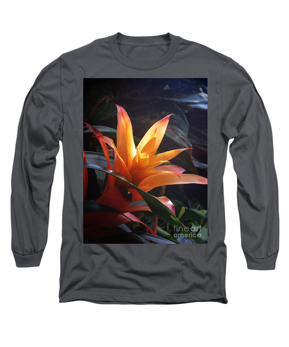 Orange Long Sleeve T-Shirt featuring the photograph Orange Sherbert Blooming by Anita Adams