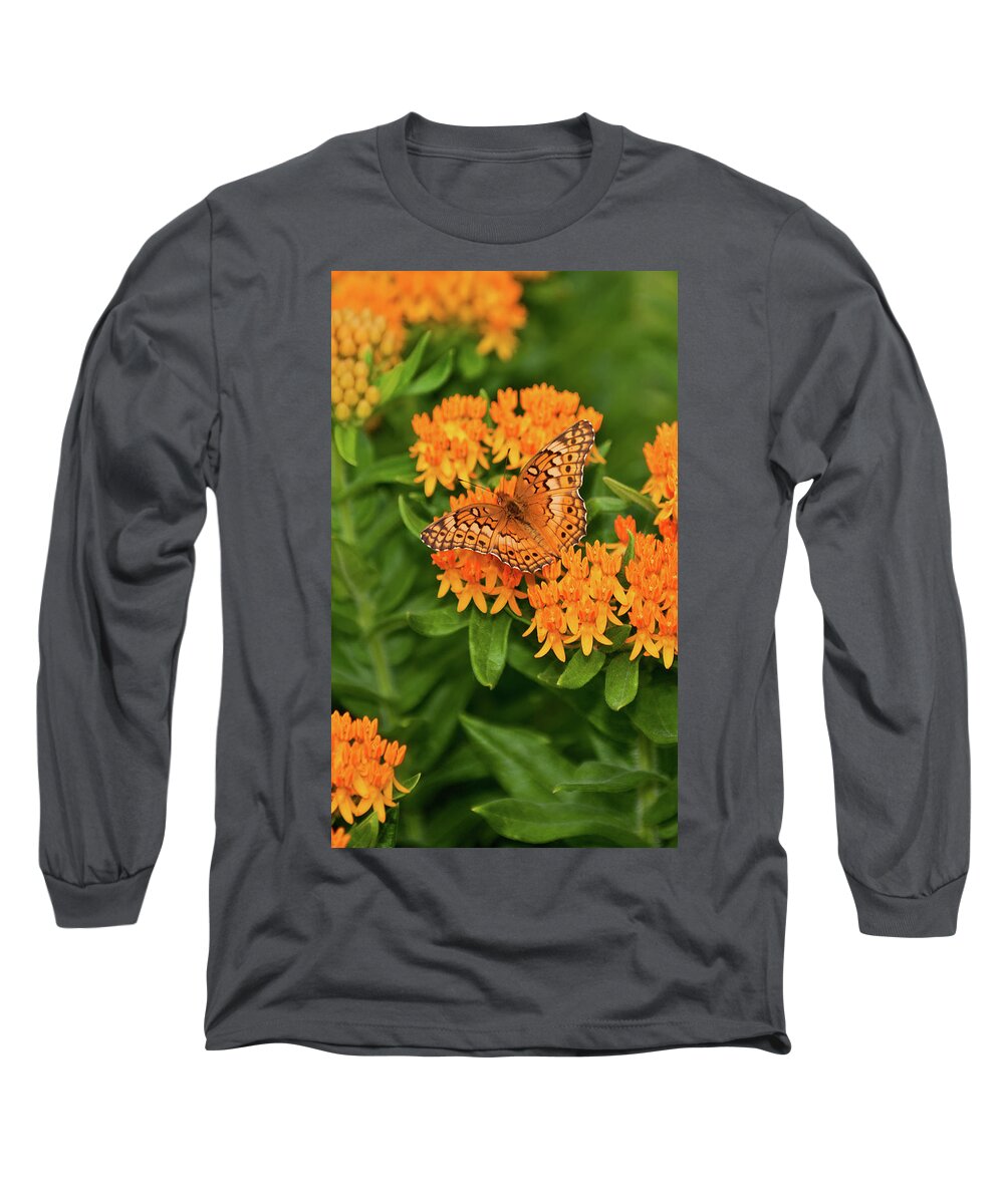 Variegated Fritillary Long Sleeve T-Shirt featuring the photograph Orange Splendor by Betty LaRue