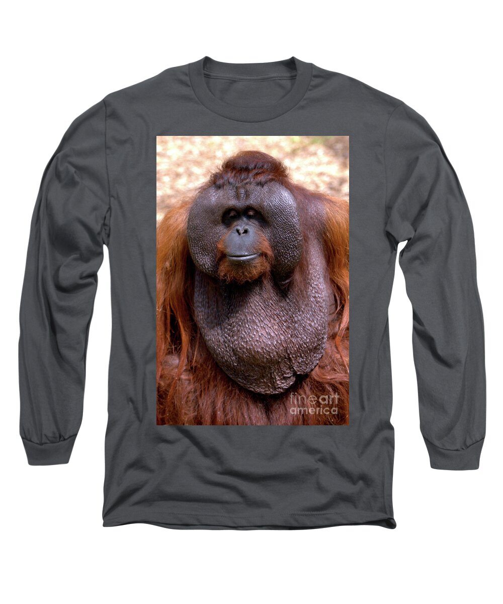 Ape Long Sleeve T-Shirt featuring the photograph Orangutan portrait by Baggieoldboy