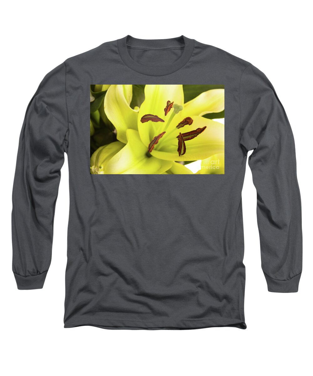 Alive Long Sleeve T-Shirt featuring the photograph Oriental Lily Flower by Raul Rodriguez