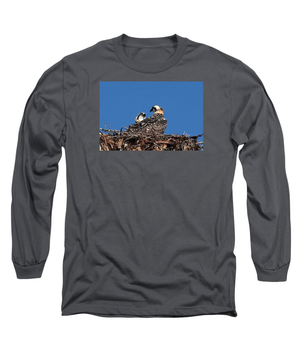 Ospreys Long Sleeve T-Shirt featuring the photograph Ospreys a Pair by Stephen Schwiesow