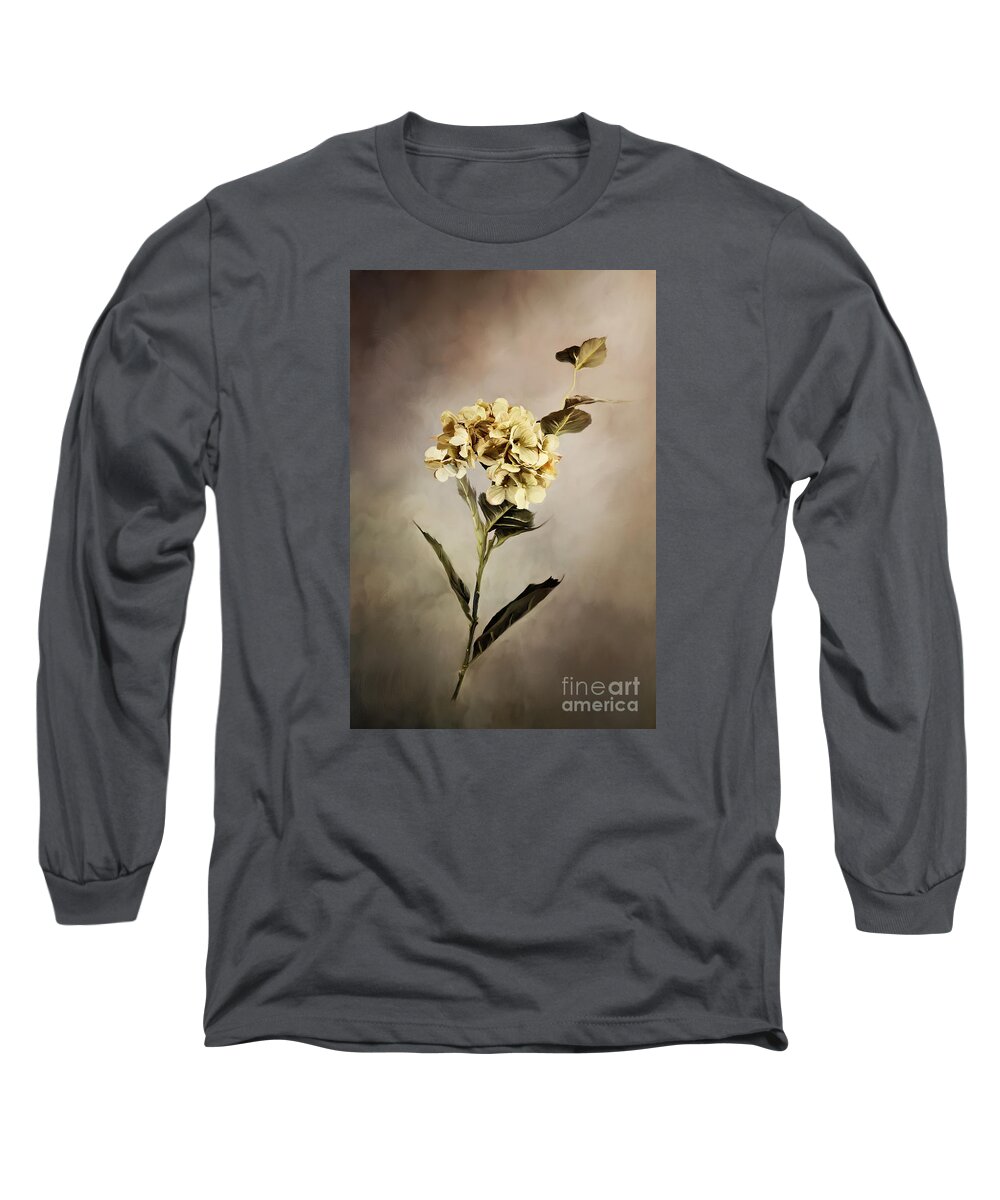 Hydrangea Long Sleeve T-Shirt featuring the photograph Painted Hydrangeas by Stephanie Frey