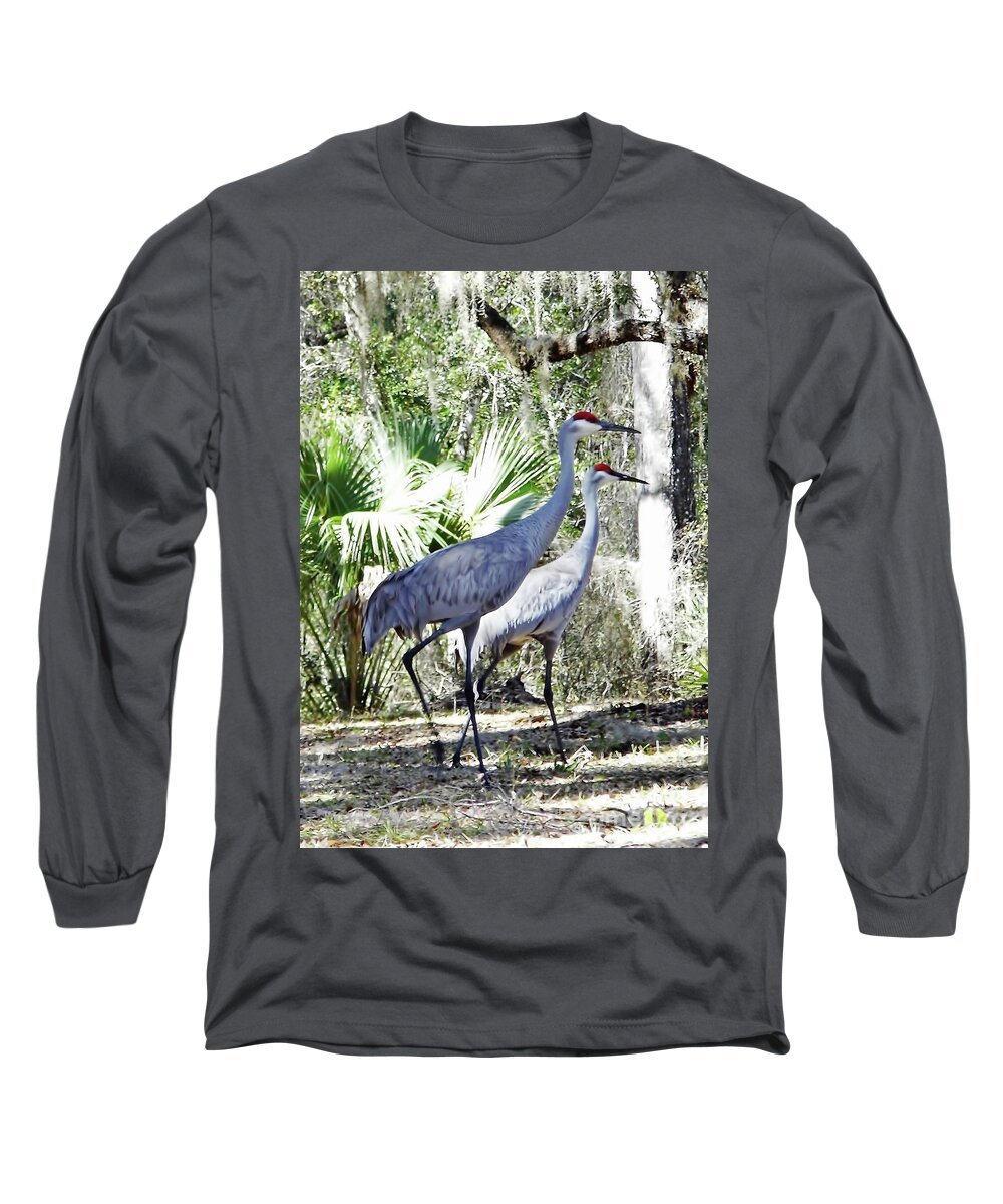 Crane Long Sleeve T-Shirt featuring the photograph Pair Of Sandhill Cranes by D Hackett