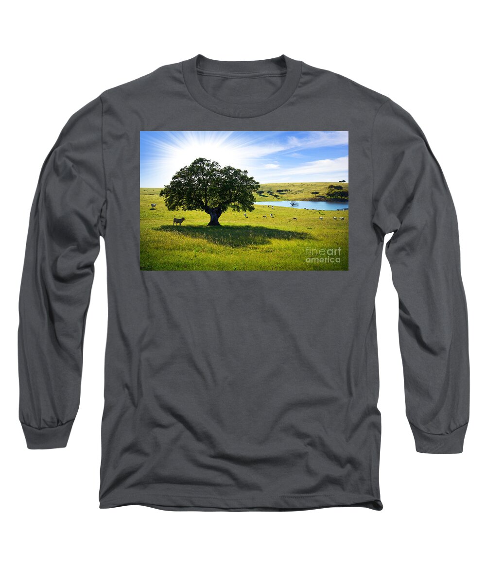 Agriculture Long Sleeve T-Shirt featuring the photograph Pasturing cows by Carlos Caetano