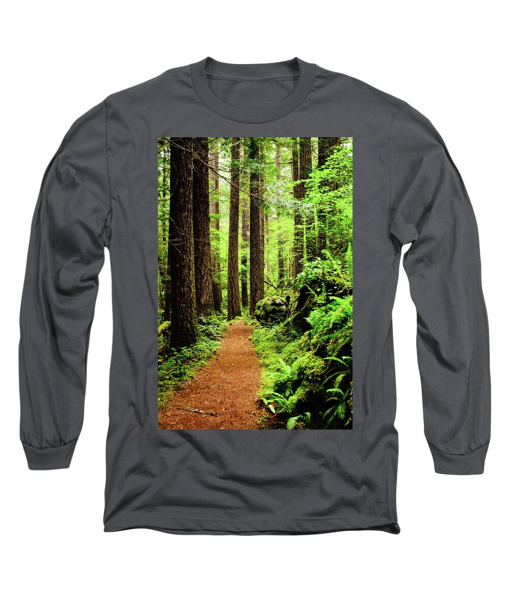 Woods Long Sleeve T-Shirt featuring the photograph Path to Peace by Tim Dussault