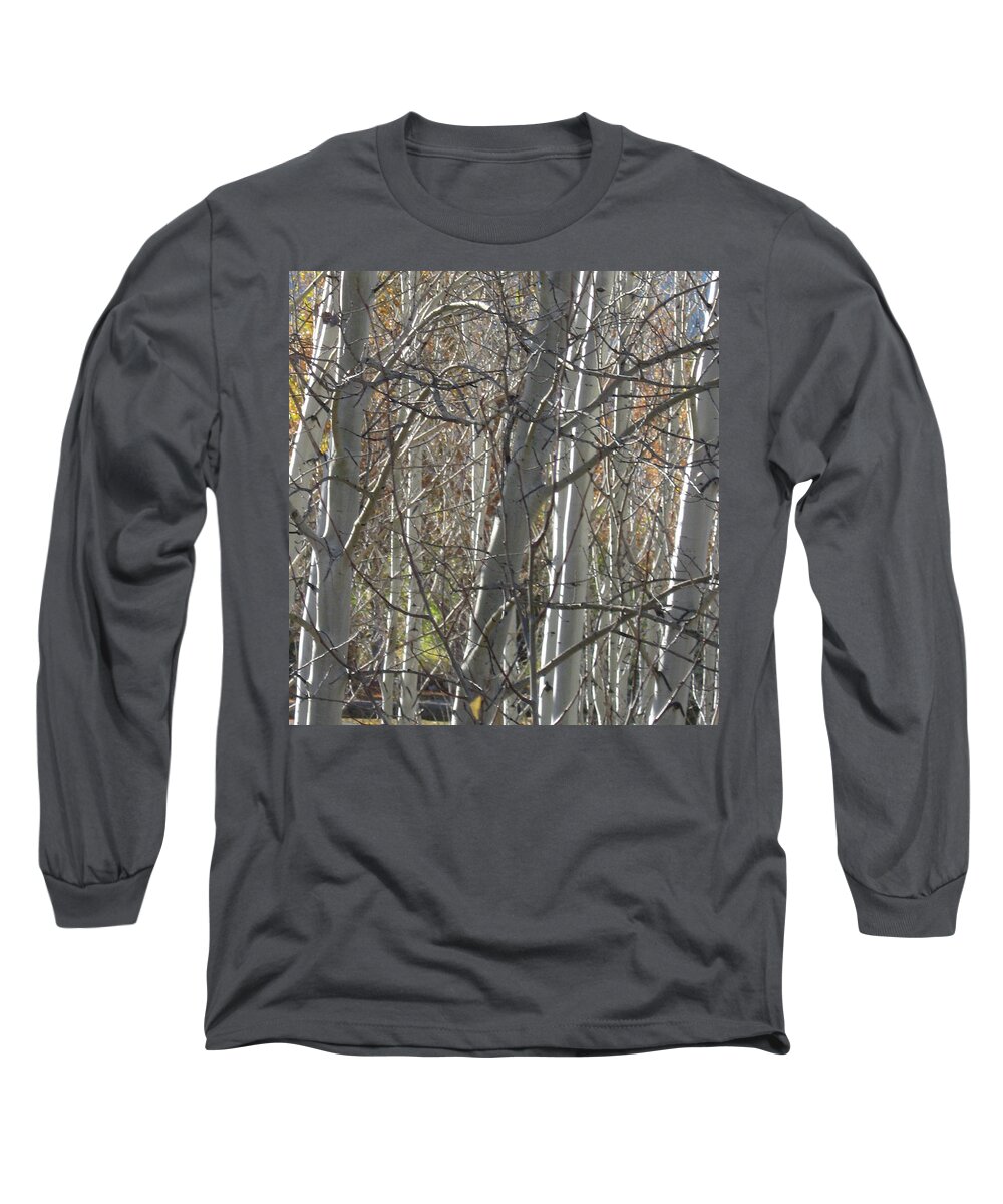 Aspen Long Sleeve T-Shirt featuring the photograph Patience by Judith Lauter