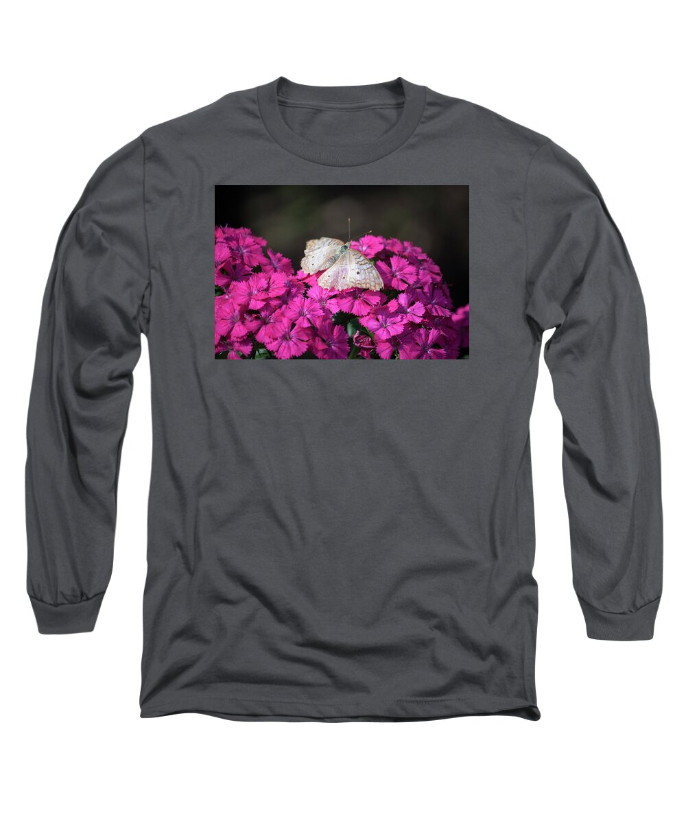 Photograph Long Sleeve T-Shirt featuring the photograph Peacock Butterfly on Fuchsia Phlox by Suzanne Gaff