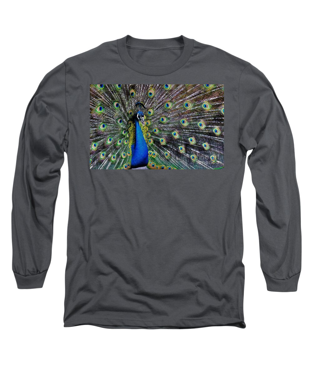Peacock Long Sleeve T-Shirt featuring the photograph Peacock Fan by Julie Adair