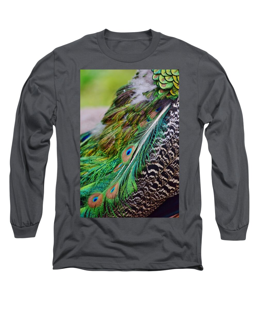 Peacock Long Sleeve T-Shirt featuring the photograph Peacock by Nicole Lloyd