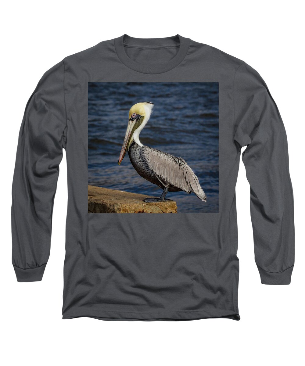Jean Noren Long Sleeve T-Shirt featuring the photograph Pelican Profile 2 by Jean Noren