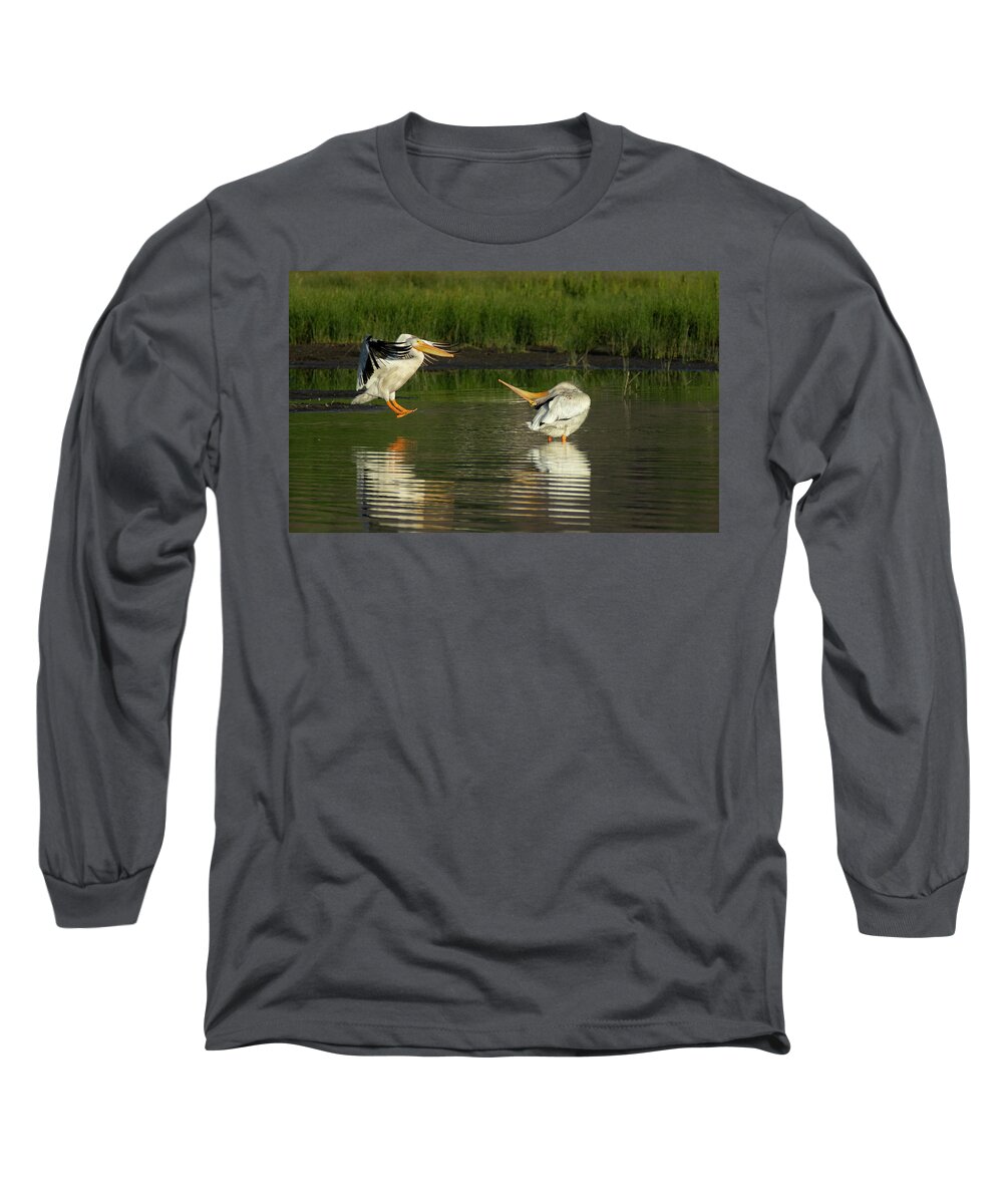 Pelican Long Sleeve T-Shirt featuring the photograph Pelicans 2 by Rick Mosher