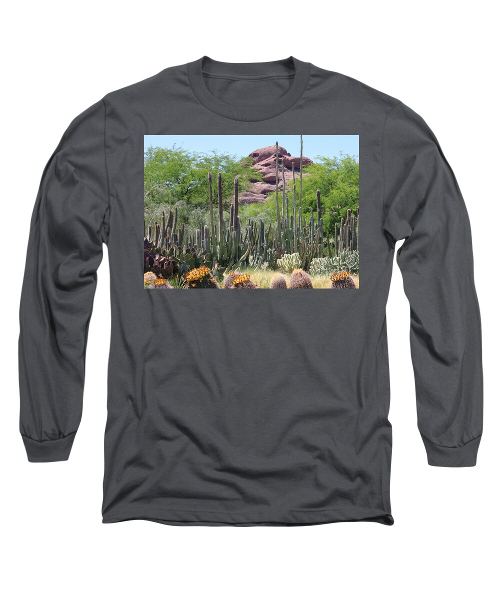 Desert Long Sleeve T-Shirt featuring the photograph Phoenix Botanical Garden by Carol Groenen