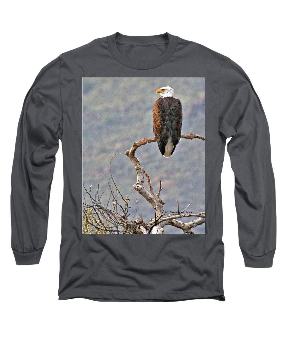 Eagle Long Sleeve T-Shirt featuring the photograph Phoenix Eagle by Matalyn Gardner