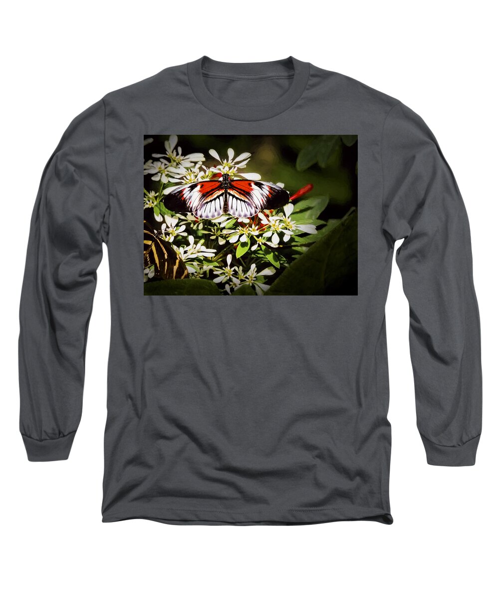 Heliconuis Melpomene Long Sleeve T-Shirt featuring the photograph Piano Key 3 by Penny Lisowski