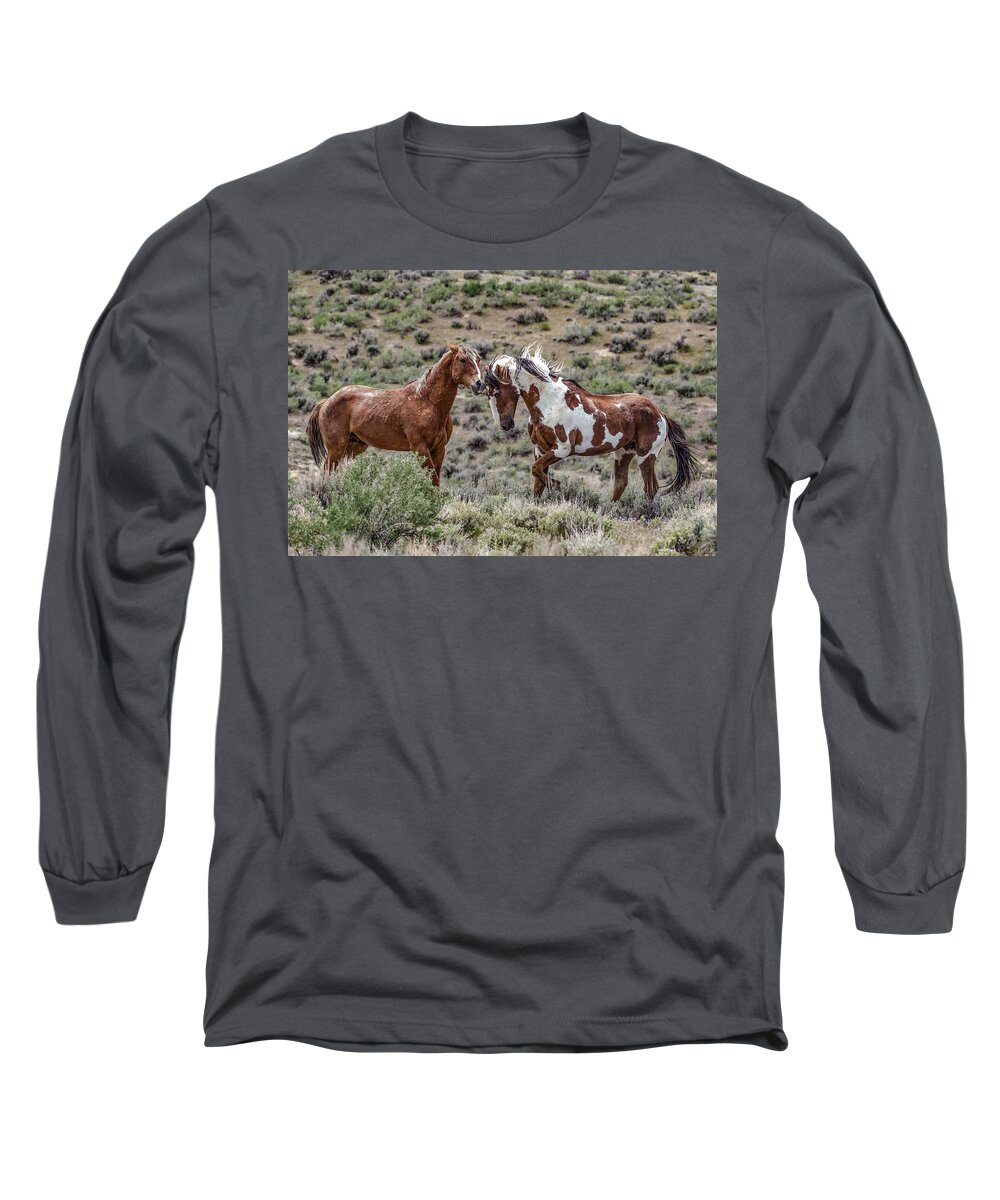 Colorado Long Sleeve T-Shirt featuring the photograph Picasso and Voodoo 2 by Dawn Key