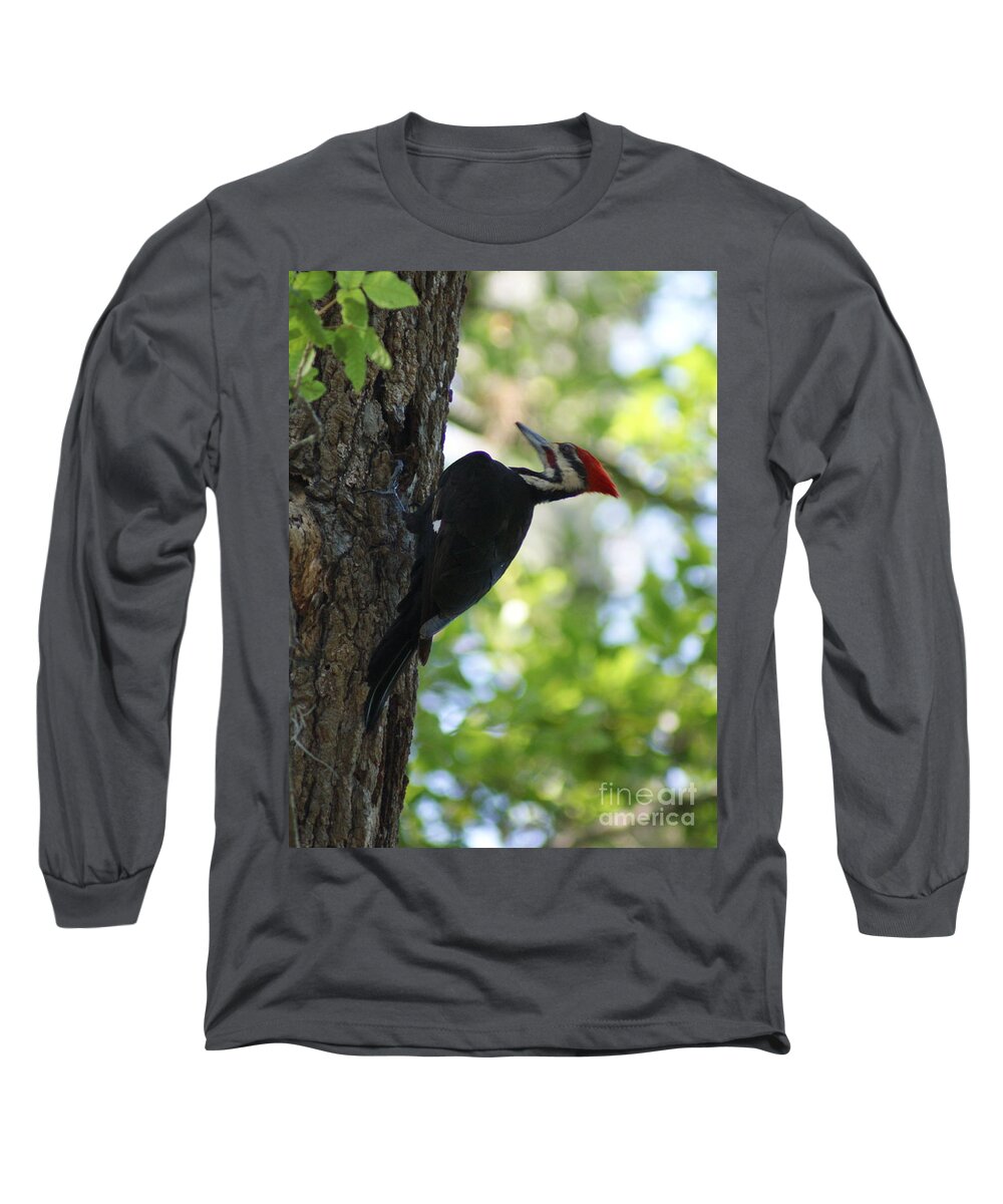 Pileated Woodpecker Long Sleeve T-Shirt featuring the photograph Pileated Woodpecker by Theresa Cangelosi