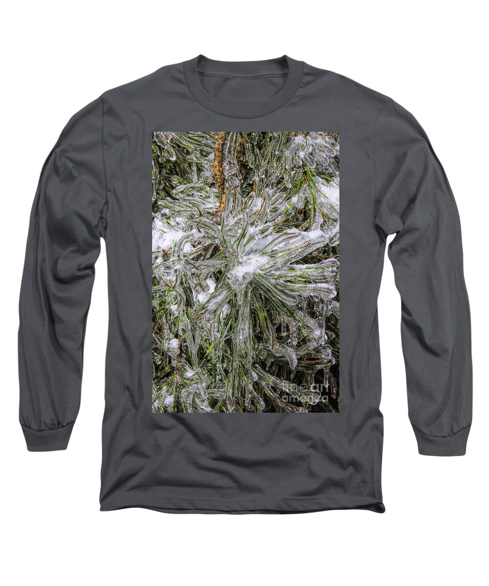 Winter Amicola Falls Long Sleeve T-Shirt featuring the photograph Pinecicles by Barbara Bowen