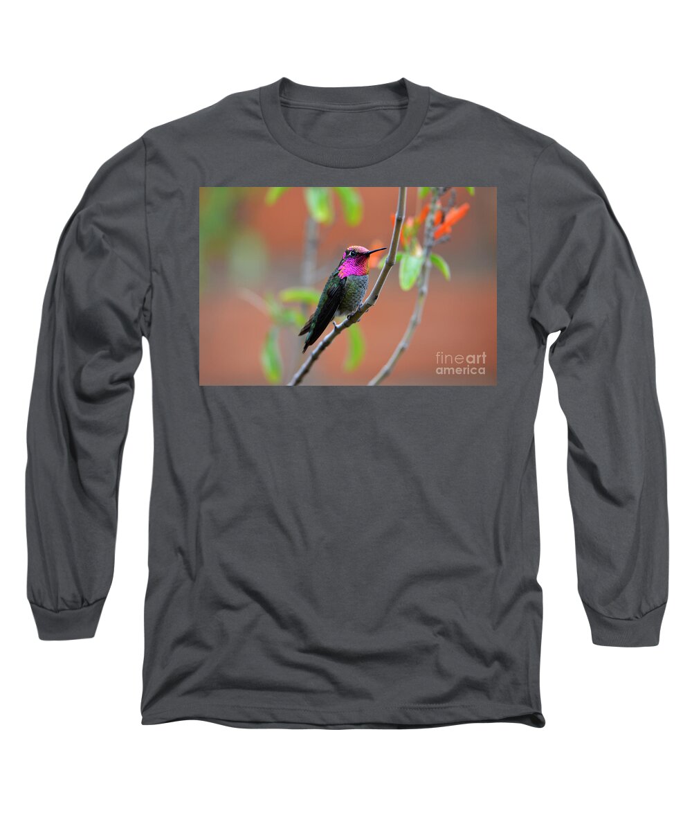 Denise Bruchman Long Sleeve T-Shirt featuring the photograph Pink and Gold Anna's Hummingbird by Denise Bruchman