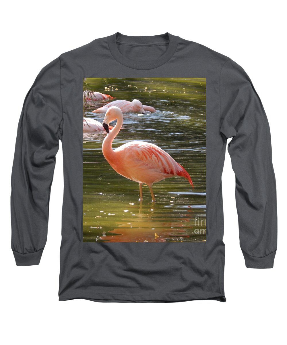 Photo Long Sleeve T-Shirt featuring the photograph Pink Flamingo by Chris Tarpening