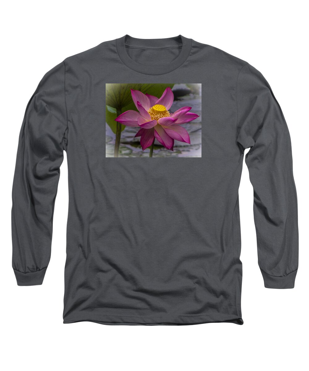 Botanical Long Sleeve T-Shirt featuring the photograph Pink Lotus in Vietnam by Venetia Featherstone-Witty