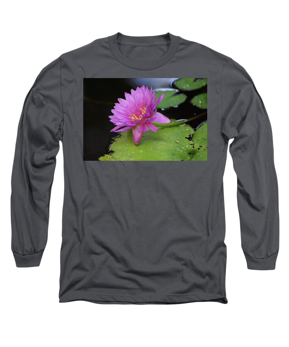 Lotus Long Sleeve T-Shirt featuring the photograph Pink Lotus by Rebekah Zivicki