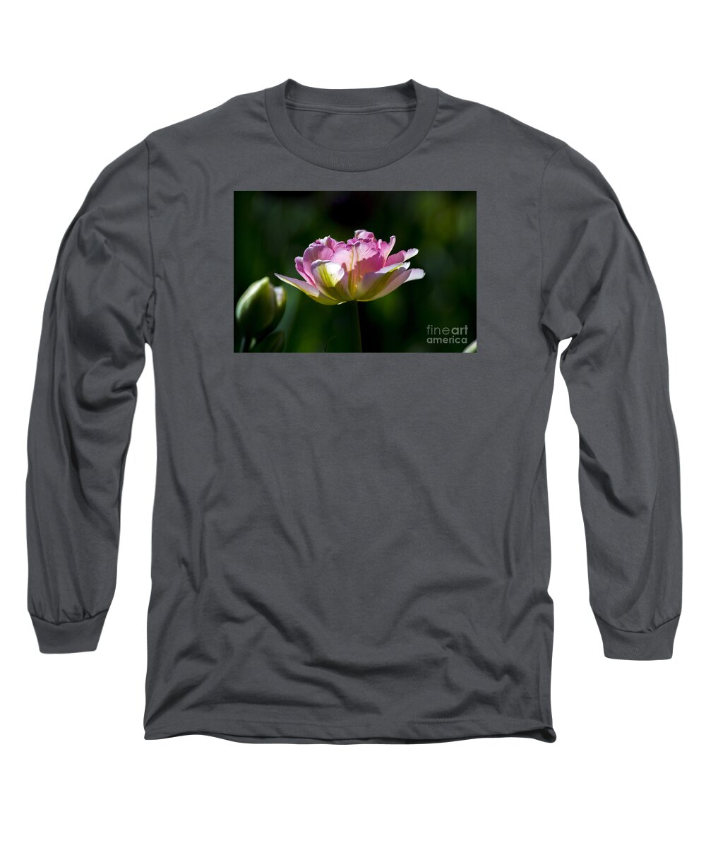 Sun Long Sleeve T-Shirt featuring the photograph Pink Tulip by Angela DeFrias
