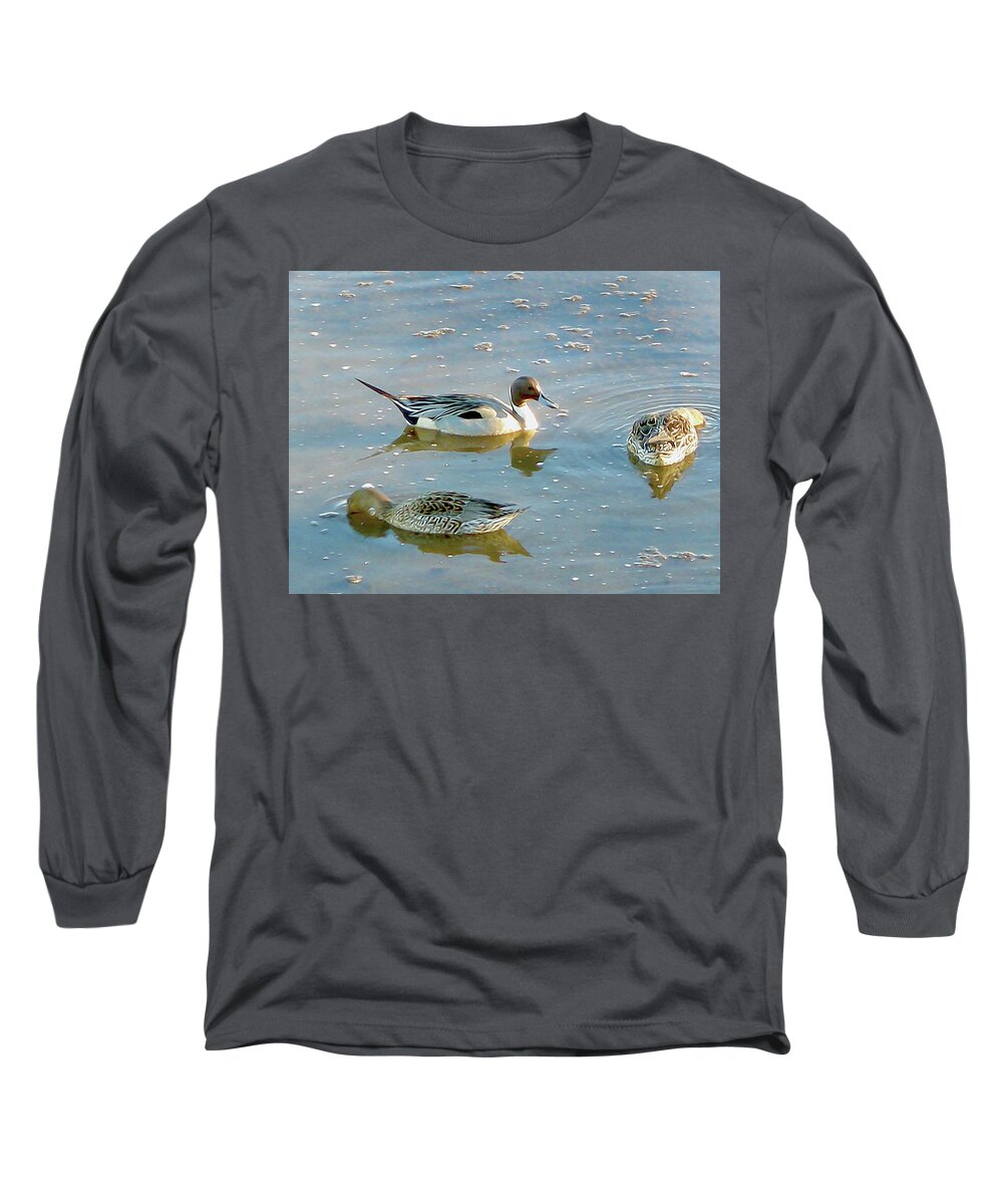 Nature Long Sleeve T-Shirt featuring the photograph Pintail Drake and Hens by Linda Carruth