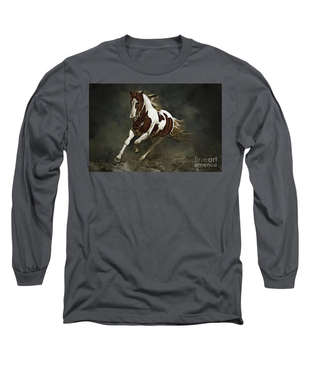 Horse Long Sleeve T-Shirt featuring the photograph Pinto Horse in Motion by Dimitar Hristov