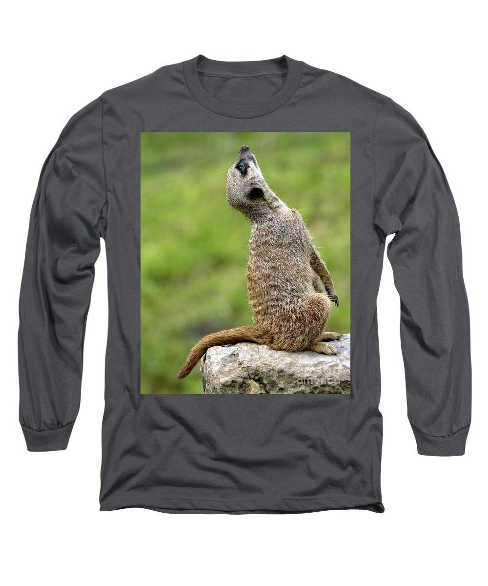 Animal Long Sleeve T-Shirt featuring the photograph Plane spotting by Baggieoldboy