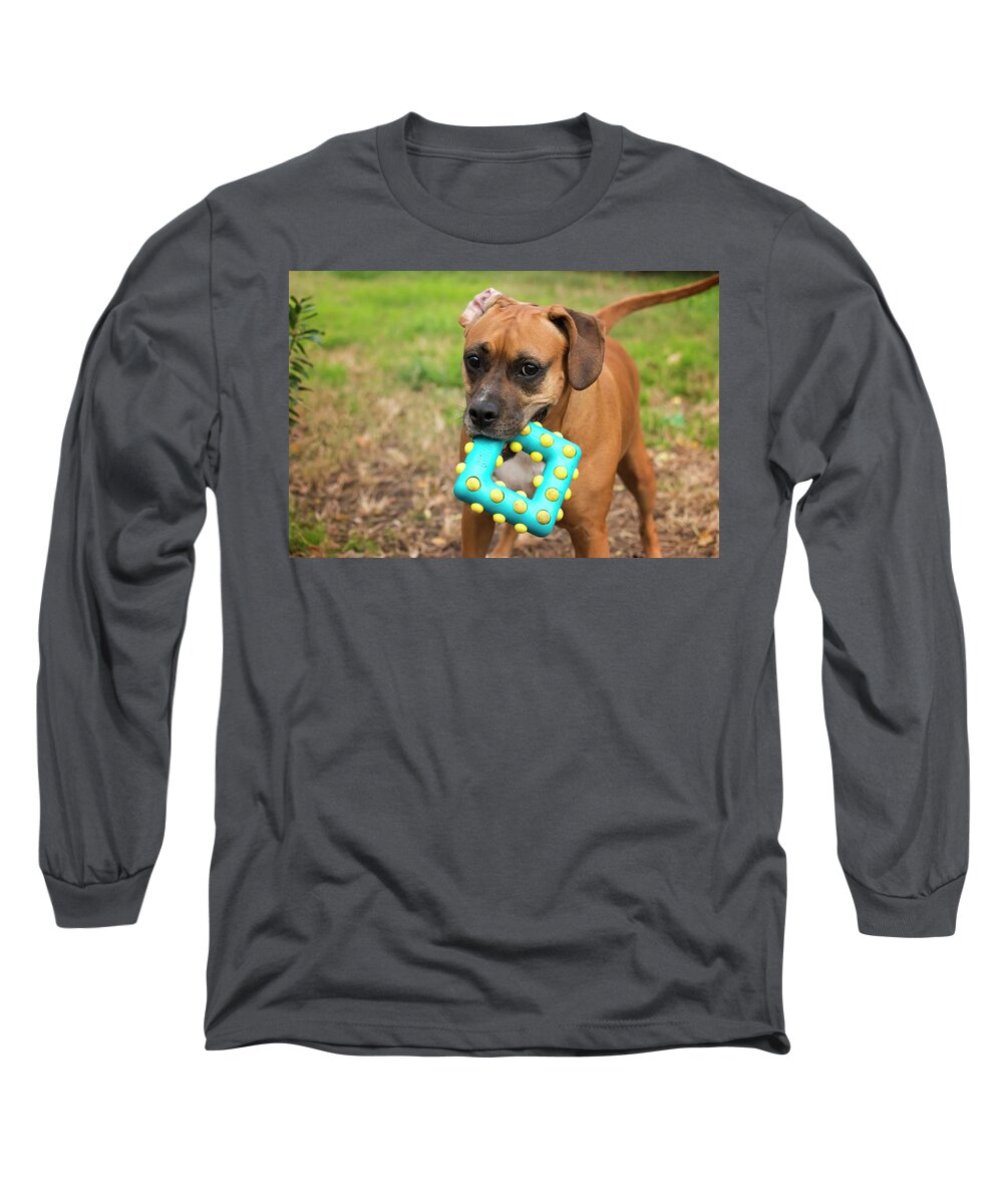 Best Long Sleeve T-Shirt featuring the photograph Play Time by Travis Rogers