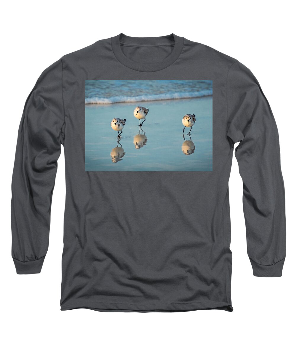  Long Sleeve T-Shirt featuring the photograph Plover Trio by David Downs