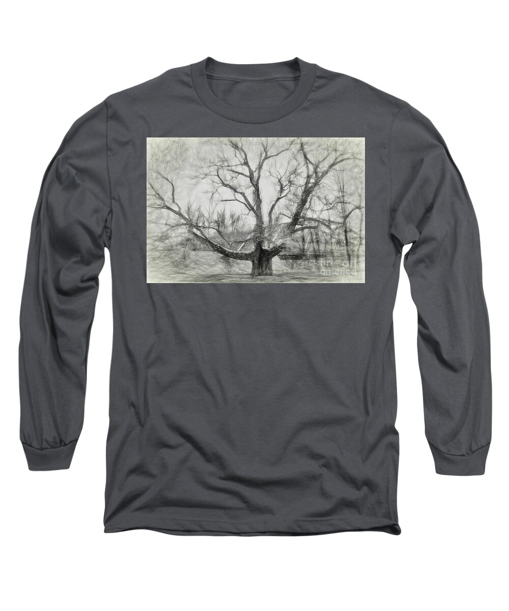 Pinchot Long Sleeve T-Shirt featuring the photograph Pinchot Tree Sketch by Lorraine Cosgrove