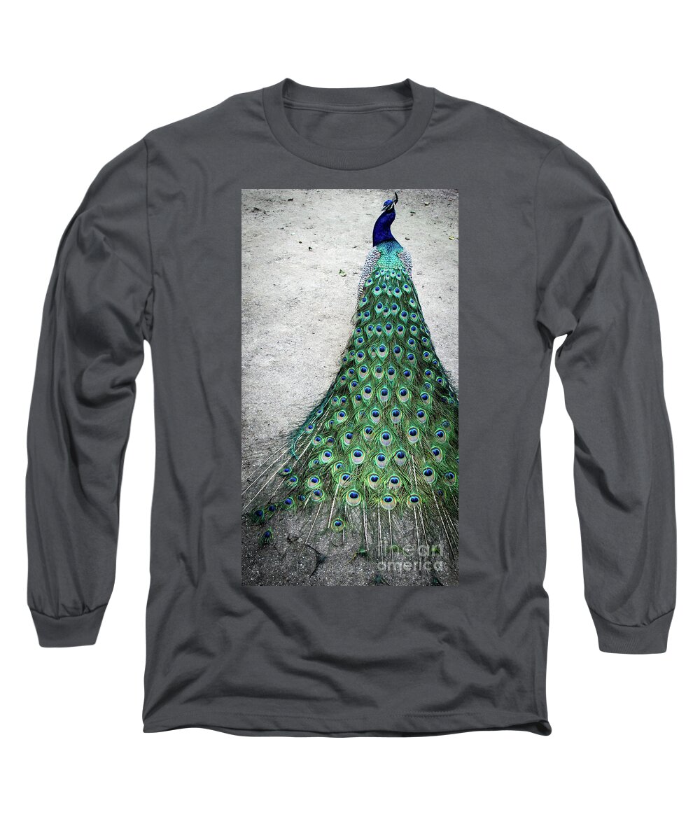 Peacock Long Sleeve T-Shirt featuring the photograph Poised Peacock by Cheryl McClure