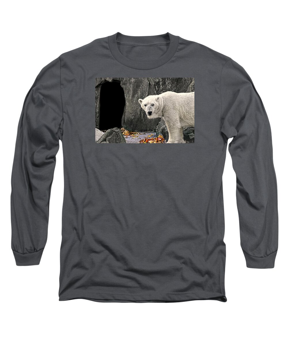 Nature Long Sleeve T-Shirt featuring the photograph Polar Bear 101 by Diana Angstadt