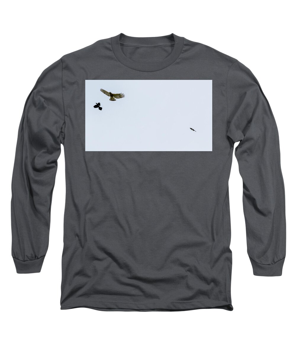 Hawk Long Sleeve T-Shirt featuring the digital art Police bird brings in reinforcements by Ed Stines