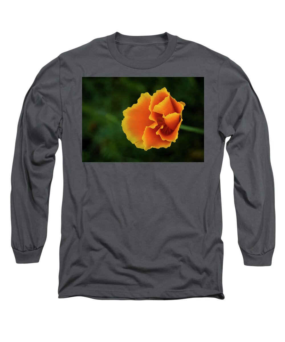 Nature Long Sleeve T-Shirt featuring the photograph Poppy Orange by Steven Clark