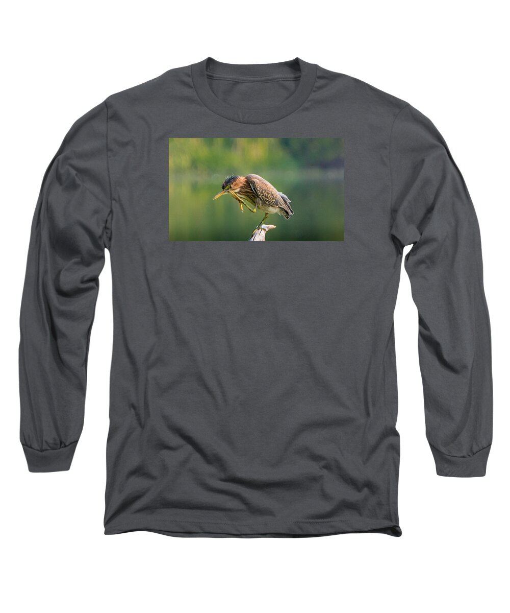 Heron Long Sleeve T-Shirt featuring the photograph Posing Heron by Jerry Cahill