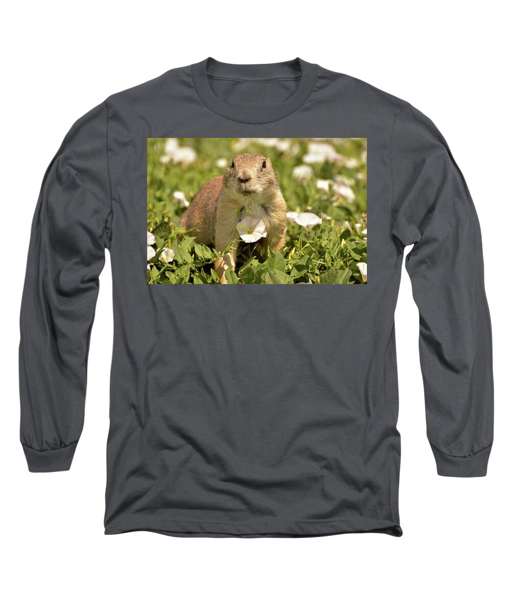 Prairie Dog Long Sleeve T-Shirt featuring the photograph Prairie Dog by Nancy Landry