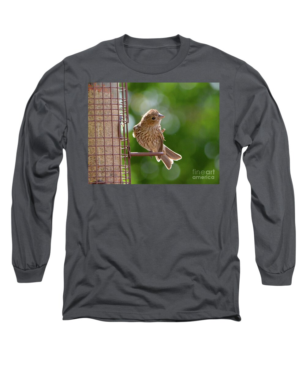 Bird Long Sleeve T-Shirt featuring the photograph Preening by Cindy Schneider