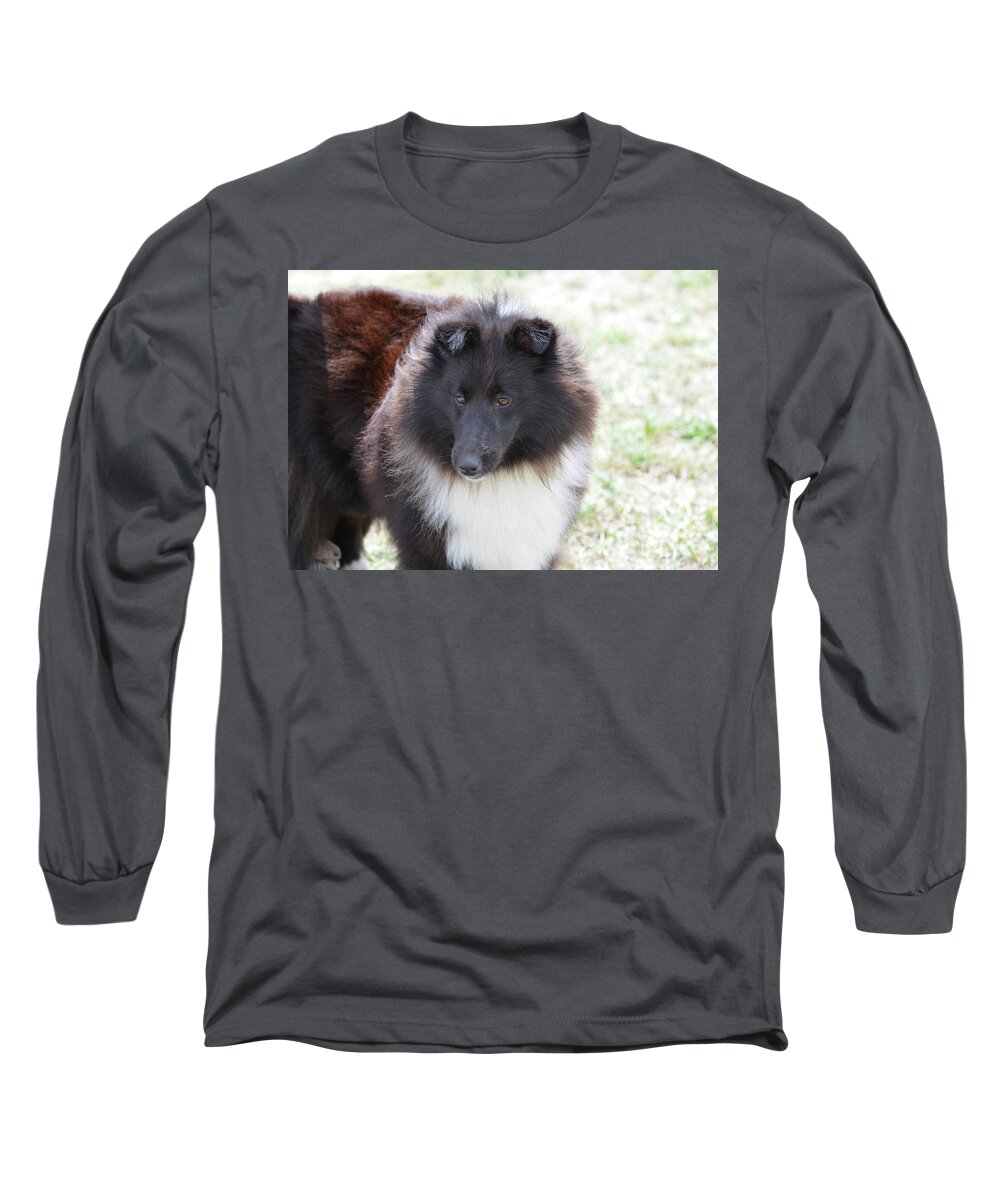 Sheltie Long Sleeve T-Shirt featuring the photograph Pretty Black and White Sheltie Dog by DejaVu Designs