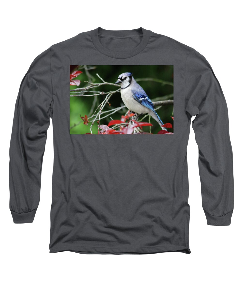 Birds Long Sleeve T-Shirt featuring the photograph Pretty Blue Jay by Trina Ansel