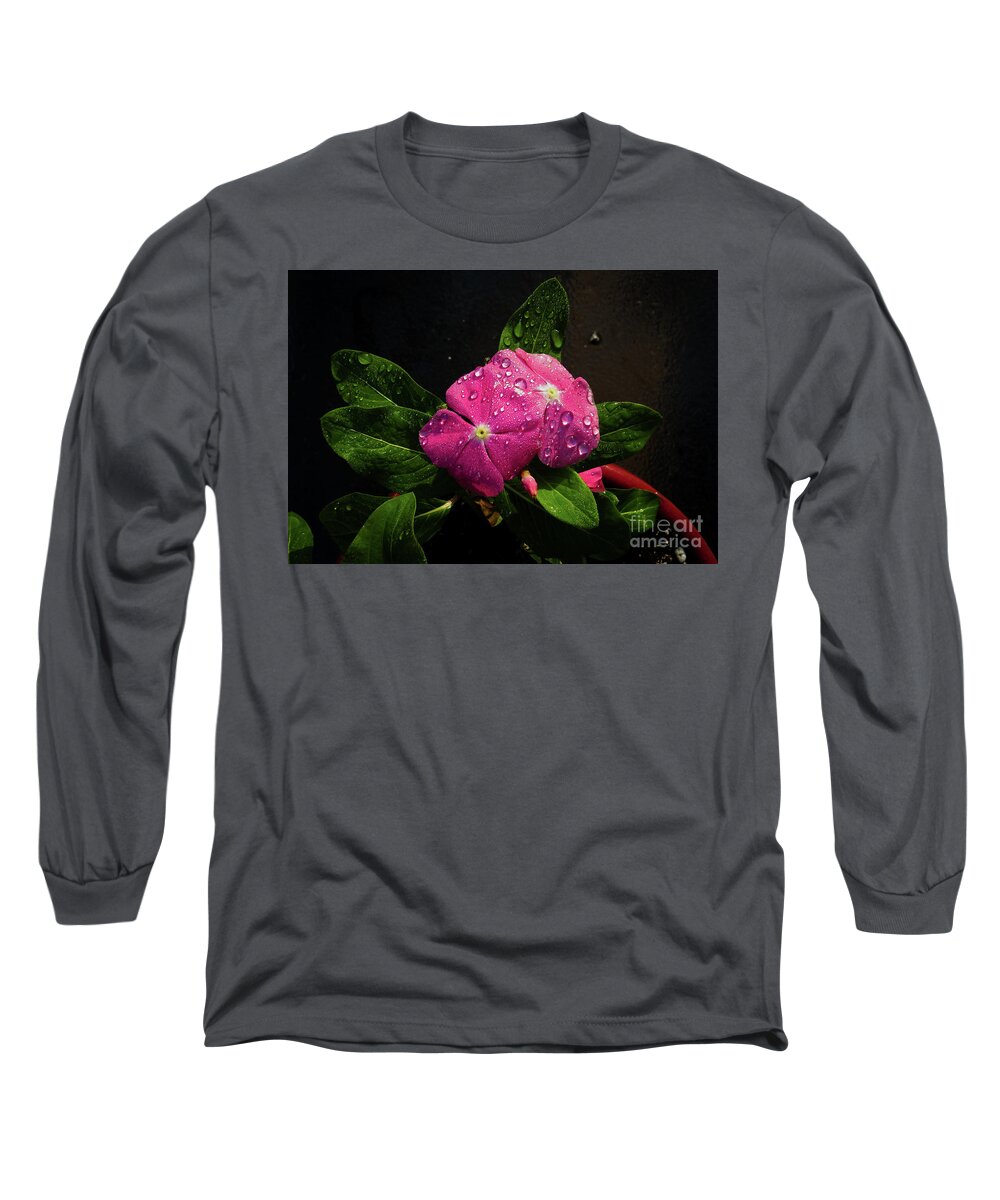 Pink Long Sleeve T-Shirt featuring the photograph Pretty in Pink by Douglas Stucky