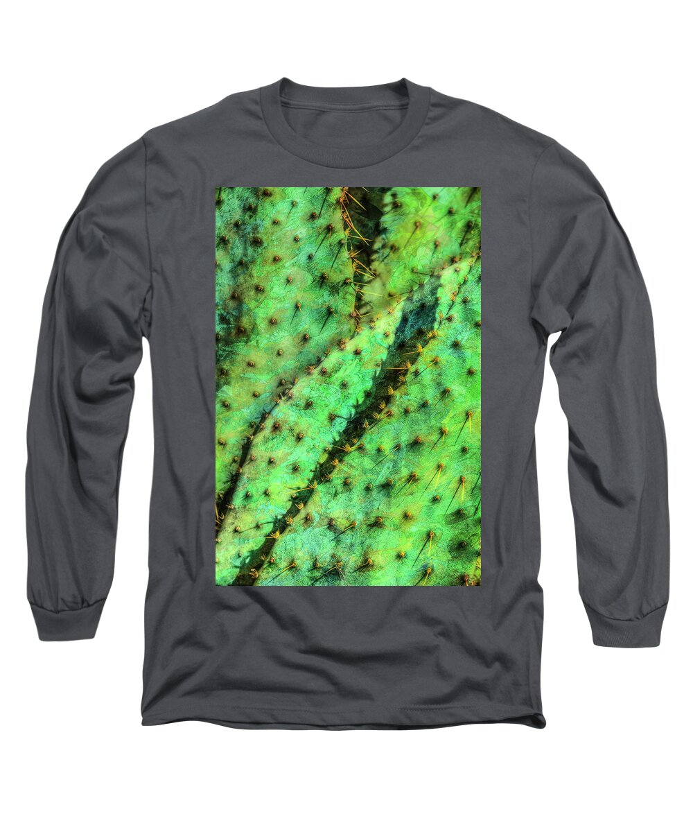 Prickly Pear Long Sleeve T-Shirt featuring the photograph Prickly by Paul Wear